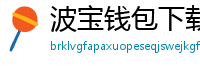 波宝钱包下载